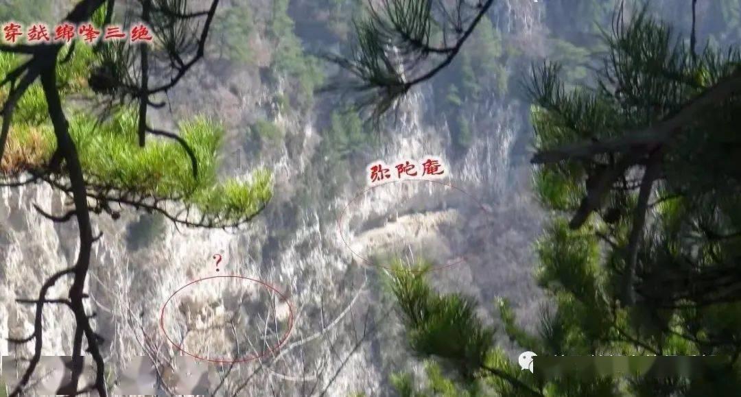 燃烧吧大脑免广告最新版
